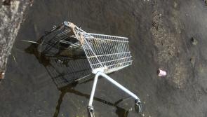 A look at the shameful dumping along the Suir at Clonmel