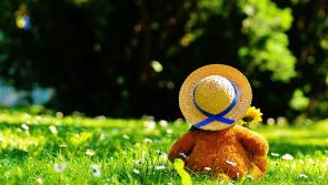 Teddy Bear's Picnic fundraiser for playground in Mullinahone