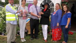Watch: weather gods smile on North Tipperary Show as crowds flock to annual showcase