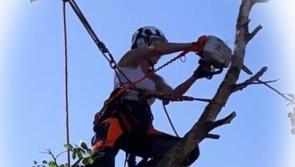 Women in Business: Meet Catherine Ryan from Tipp Top Tree Surgery