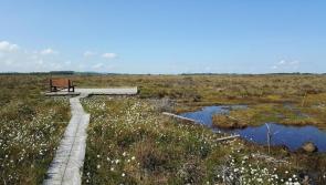 Award winning Tipperary Scohoboy bog project saved from fire by prompt action
