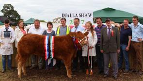 Dualla Show organisers focus on Farm Safety this Sunday