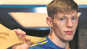 Youngsters shine but injury to Paudie Feehan a big disappointment for Tipperary manager