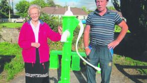 Littleton's special pump and well in St Kevin's Park