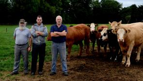 Farmers face soaring costs after worst grass growth in decades