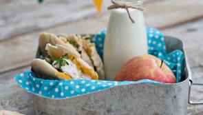 Back to School lunch box advice? We asked the Experts!