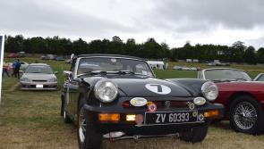 Nenagh Classic Car Club puts on a vintage display at fifth annual show