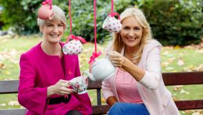 Irish-based scientists find potential link between vitamin D use and increased breast cancer survival