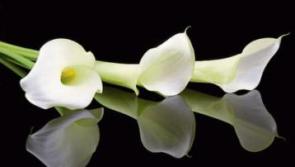 Tipperary deaths - Friday 21 September, 2018