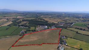 Bidding frenzy pushes 75 acre Tipperary farm to €1.56 million