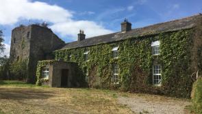 Kedrah Castle Farm, Cahir - Period residence, quarry and land for sale