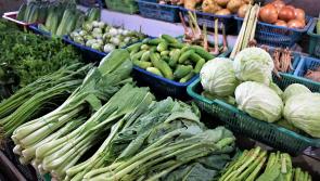 It's untenable to expect farmers to keep producing food with excalating costs - ICSA