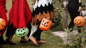 Jump on board the Ballynonty "Ghost Train" for Halloween!