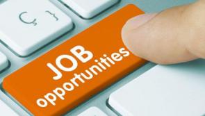 JOBSBOARD: This week's jobs in Tipperary 