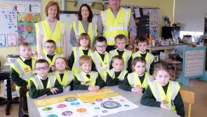 ESB presents hi-viz vests at North Tipperary schools as Road Safety Authority urges parents to ensure children are properly restrained in vehicles