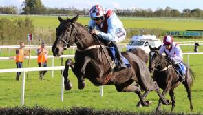 Limerick Racecourse goes Grade 1 for huge Christmas racing festival