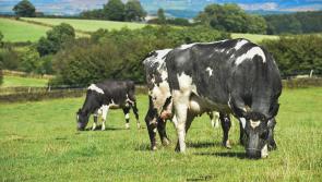 Farming vacancies with Farm Solutions Ltd