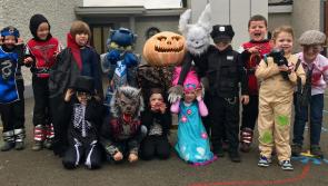 Picture gallery:  Tipperary schools get into the Halloween spirit with fancy dress parades 