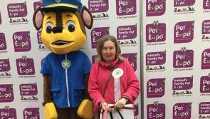 Tipperary volunteer joins the Irish Retired Greyhound Trust at 2018 Pet Expo