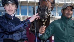 Tipperary jockeys Donncha O'Brien and Shane Crosse claim championship titles in style