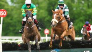 THE PUNTER'S EYE: Three horses worth backing this weekend 