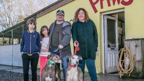 Tipperary animal shelter receives celebrity boost as Room director Lenny Abrahamson calls on public support for PAWS