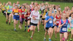 Munster Juvenile Uneven Age and Senior Cross Country Championships