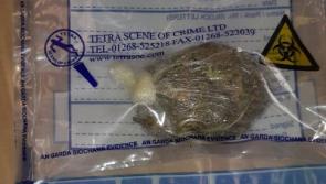 Thurles gardai seize €200 worth of drugs under Operation Thor