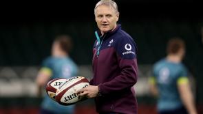 Ireland put team masseur up for interview at Rugby World Cup press conference