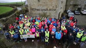 Roscrea Hospice annual Wren Walk on St Stephens Day to raise funds 