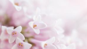 Condolences and sympathies expressed after passing of local Tipperary man