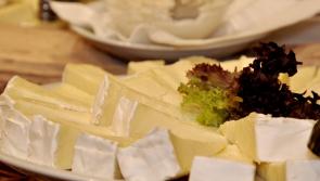 Gingergirl: Impress party guests with delicious deep fried brie