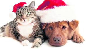 Heartfelt thank you to all who help us at Mo Chara