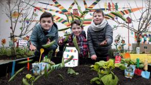 Tipperary national schools now invited to apply for free BIG GROW packs
