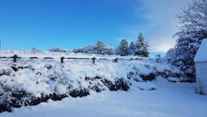 ALERT: Tipperary people! Forecaster warns there is risk of 'widespread snow' in days ahead
