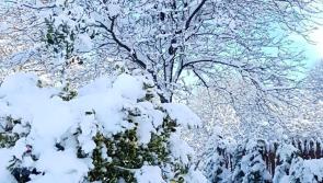 LET IT SNOW: See the social media excitement as snowfall hits across Ireland