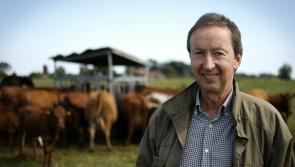 Rural Social Scheme is recruiting farmers
