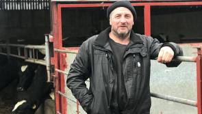Tipperary farmer uses the smart option to reduce daily workload