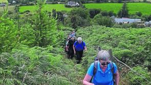 Plenty of options for walks or cycles on the wild side in north Tipperary