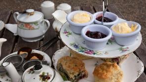 Gingergirl: Perfect scones made easy