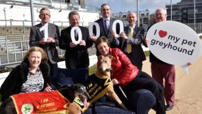 Irish Retired Greyhound Trust assists Tipperary rehoming agencies