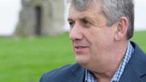 EU hopeful Liam Minehan hopes to reinvigorate rural Ireland