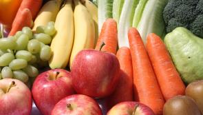 Teagasc launch fruit and vegetables growing guides 