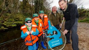 Tipperary anglers asked to become citizen scientists as part of the National Salmon Scale Project