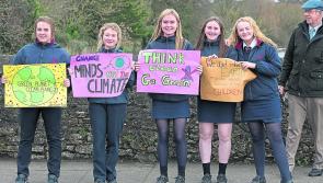Clonmel students doing their part in looking after the planet