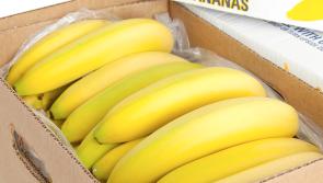 The day when Tipperary people can literally go bananas!!!