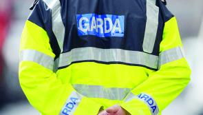 Garda&iacute; seized over half a million euro worth of drugs in 2023