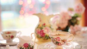 Tipperary senior citizens look forward to annual social event