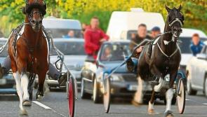 VOTE: Should the Tipperary sulky racing community be given a designated venue for the activity?