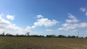 Desirable residential holding in Two Mile Borris / Littleton area comes onto the market 